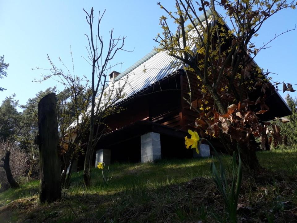 Lesna Polana Villa Gorzno  Bagian luar foto