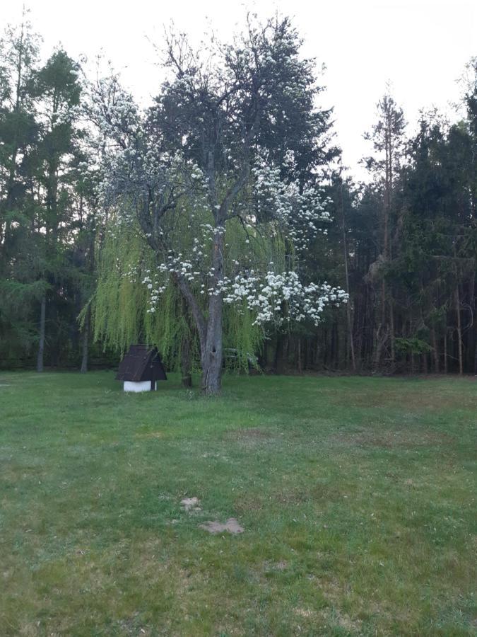 Lesna Polana Villa Gorzno  Bagian luar foto