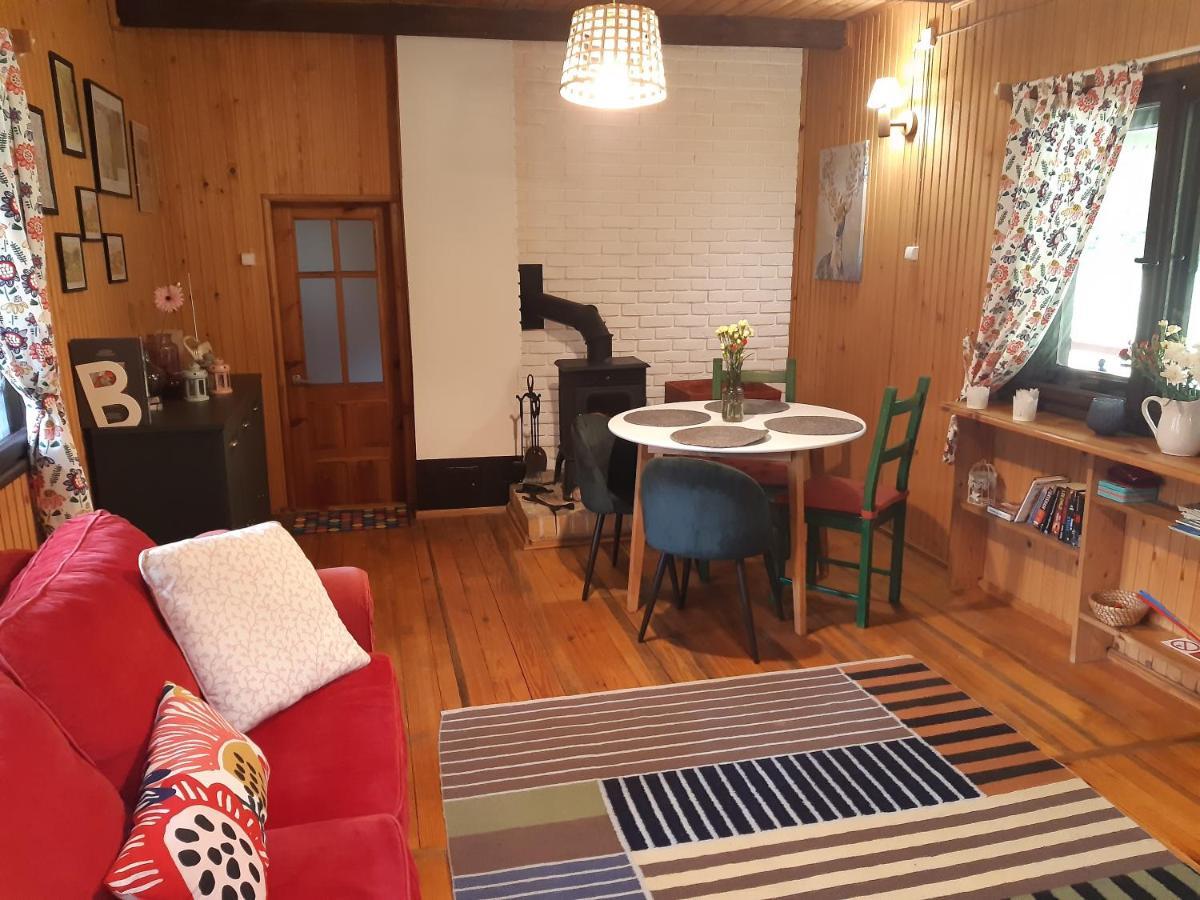 Lesna Polana Villa Gorzno  Bagian luar foto