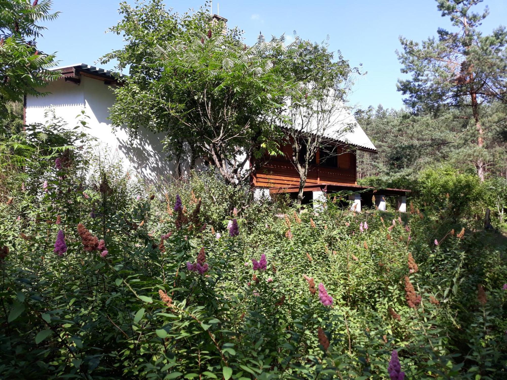 Lesna Polana Villa Gorzno  Bagian luar foto